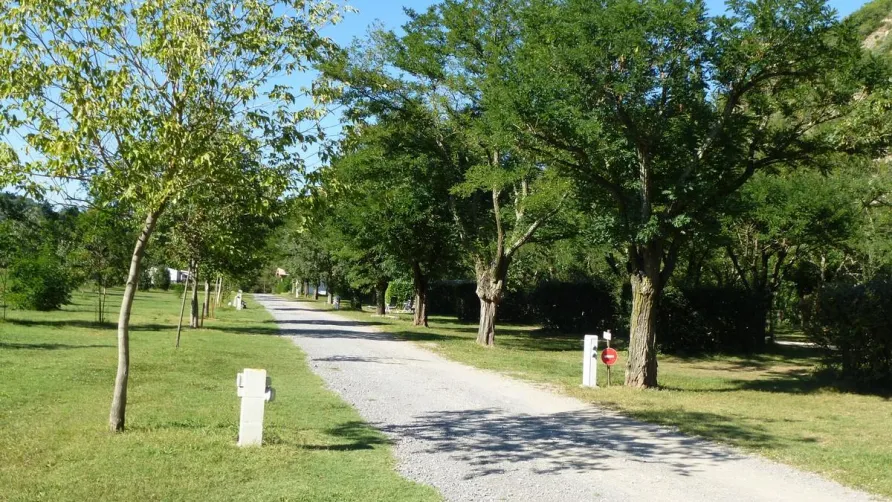 Village Nature Zen