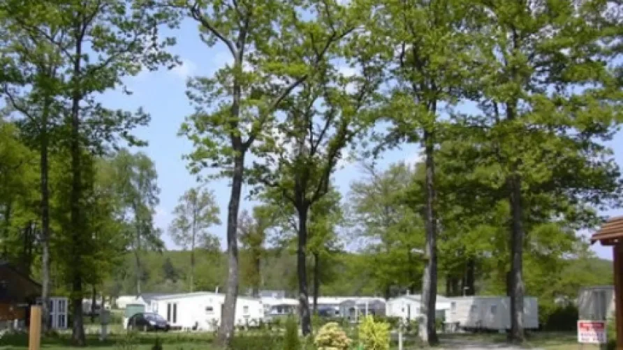 Camping Seasonova La Forêt
