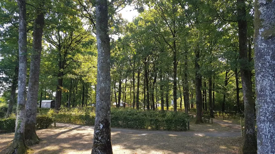 Camping Seasonova La Forêt