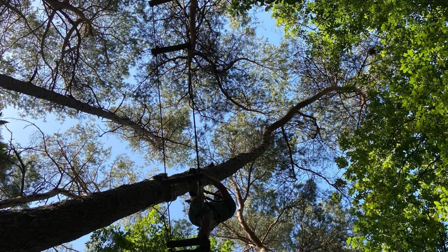 Camping Seasonova La Forêt