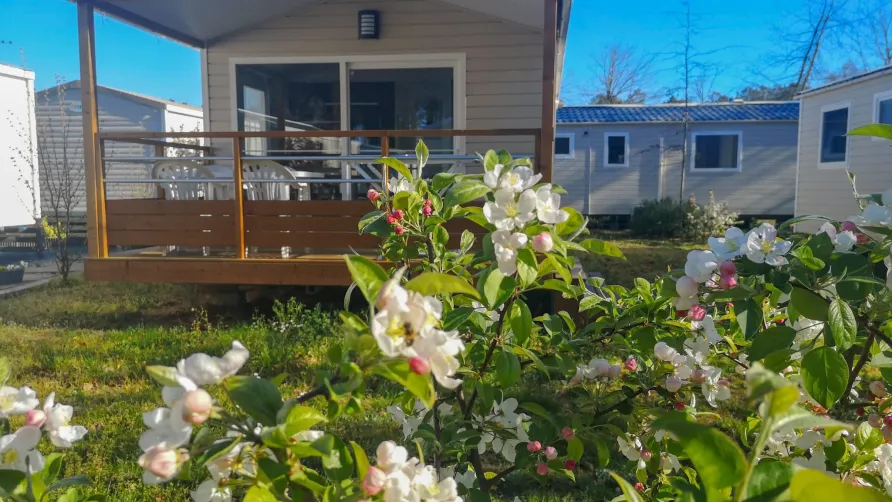 Camping LANDES AZUR