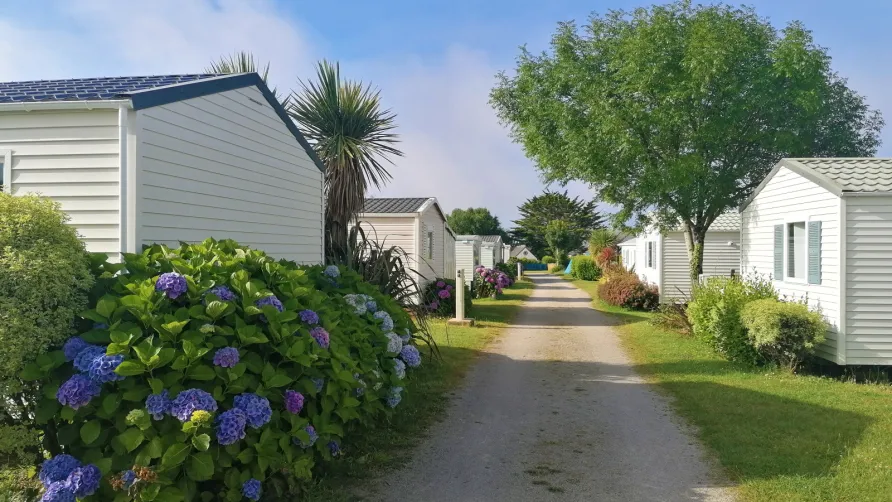 Camping La Corniche***