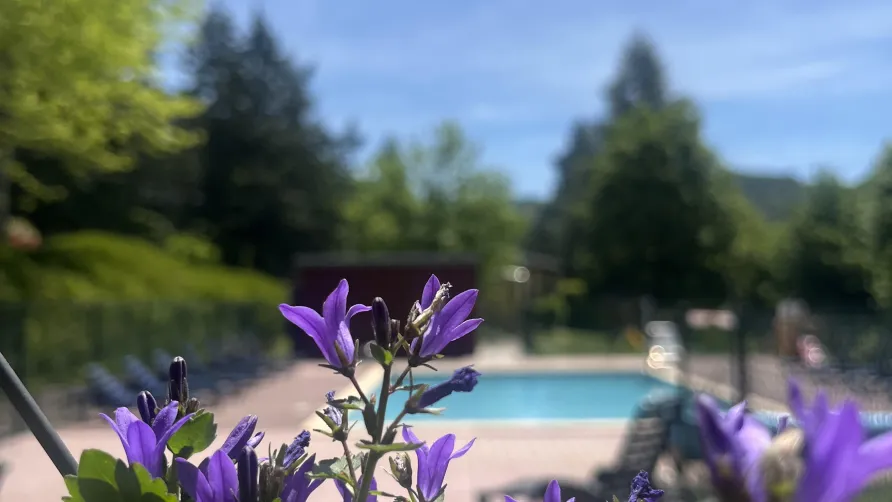 Domaine Aigoual Cévennes
