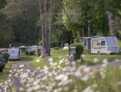 EuroParcs Pressegger See