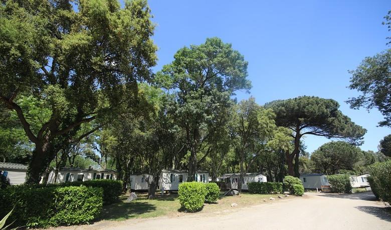 Homair-Marvilla - Camping Marina Paradise