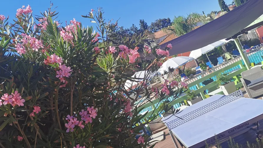 Campasun Camping Les Lauriers Roses