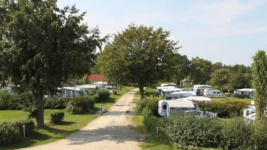 Hjarbæk Fjord Camping