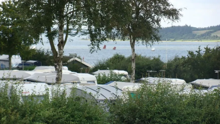 Hjarbæk Fjord Camping