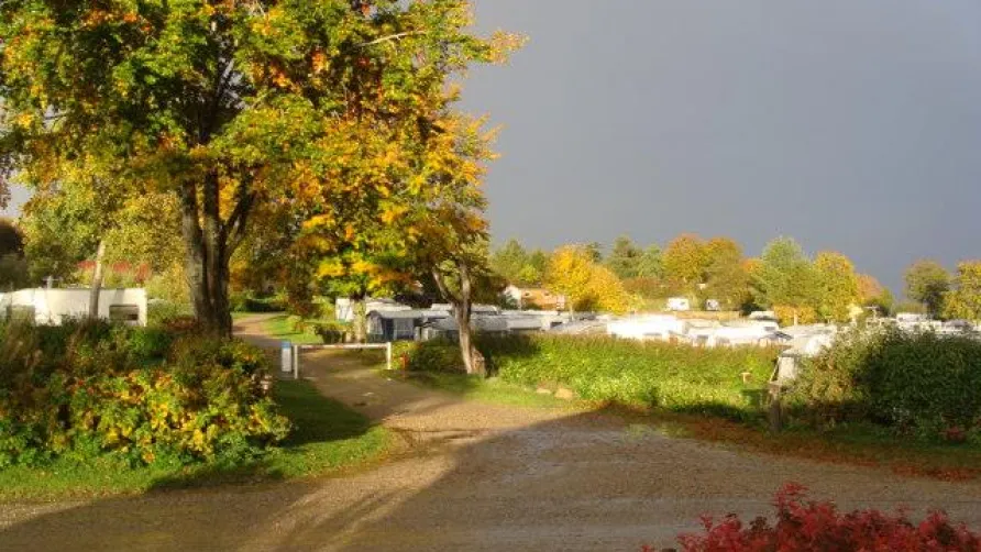 Hjarbæk Fjord Camping