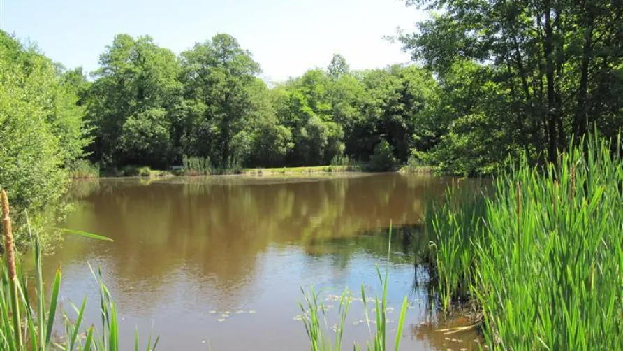 Le Hameau du Lac