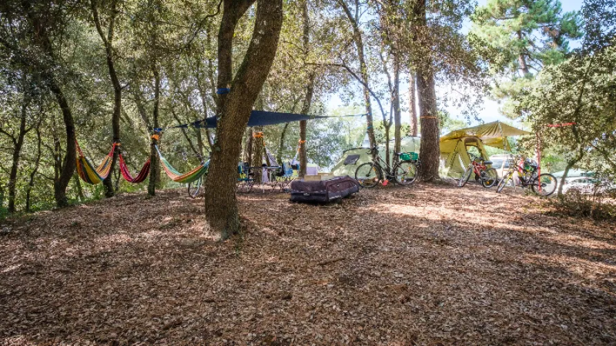 Camping Parfums d'été