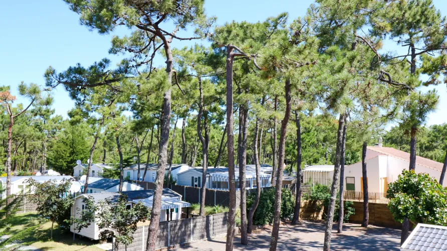 Ushuaïa Villages - Camping la Conge ***