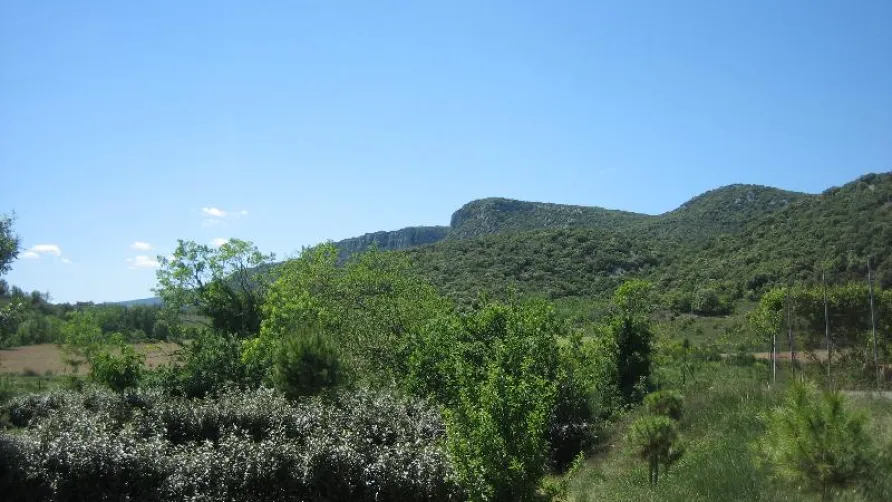 Camping Le Grillon