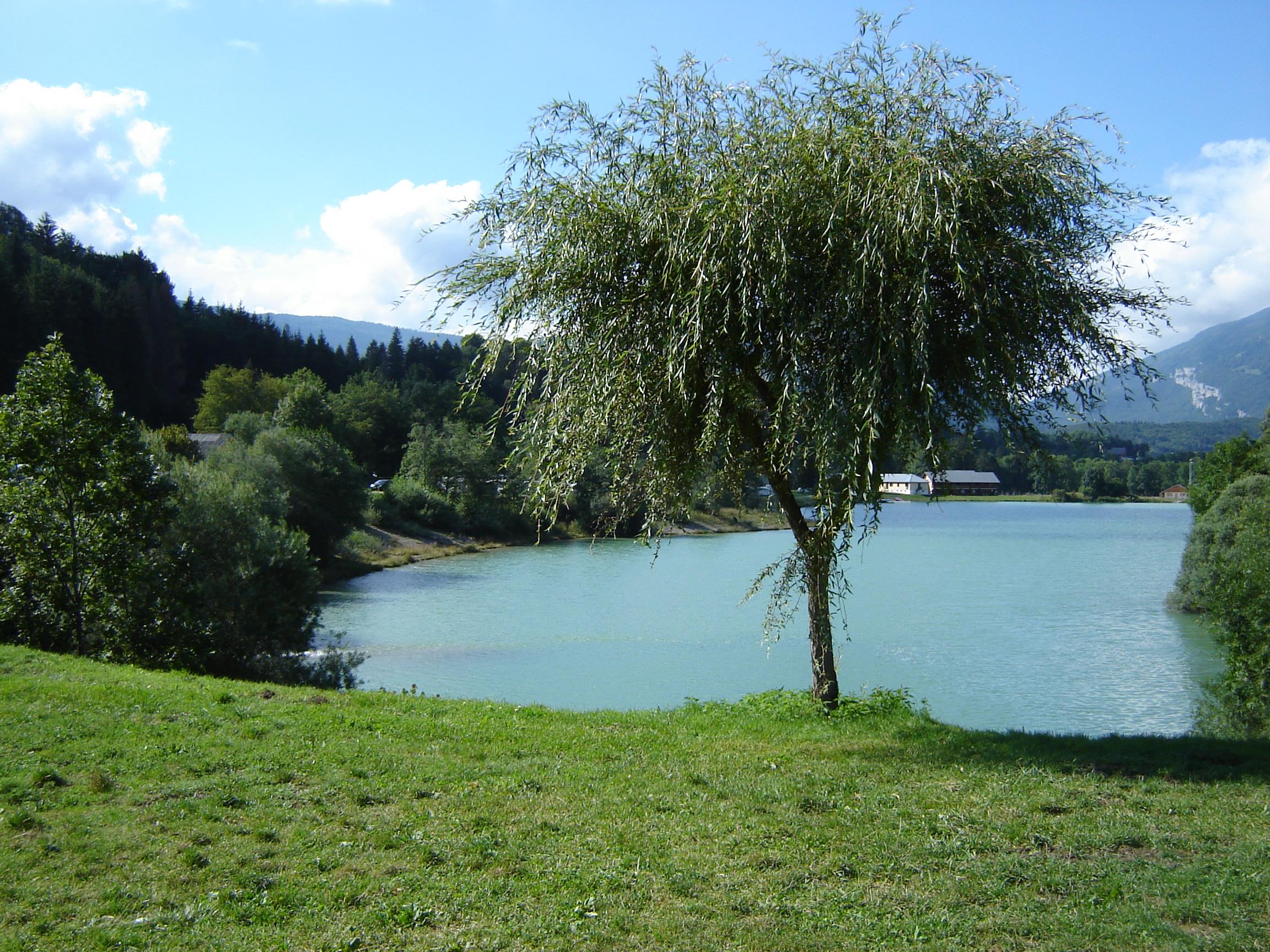 Camping de l'Île