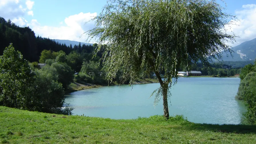Camping de l'Île