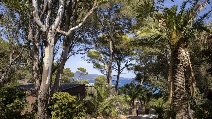 Camp du Domaine