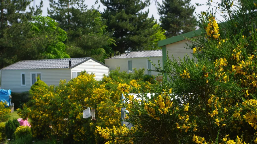 Camping Le Domaine des Jonquilles