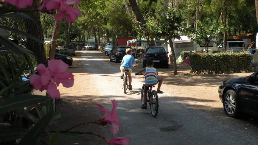 OLD - Homair-Marvilla - Camping Le Bosquet