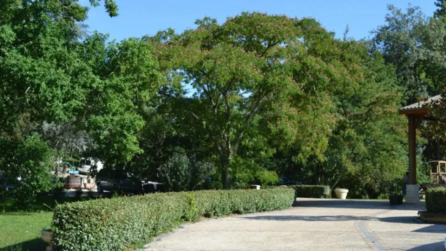 Domaine du Moulin des Sandaux