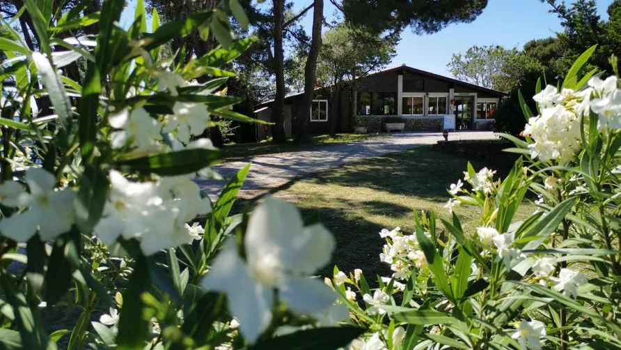 Clico Chic - Camping la Commanderie