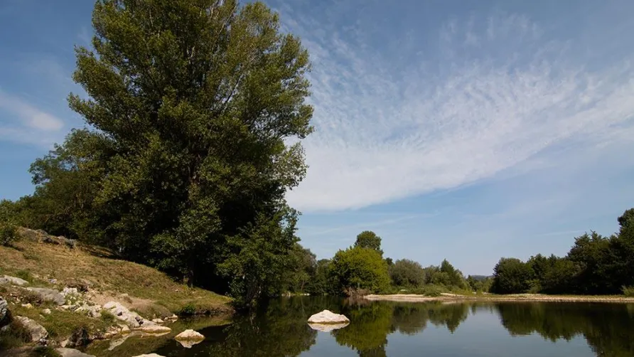 Camping Le Mas des Chênes