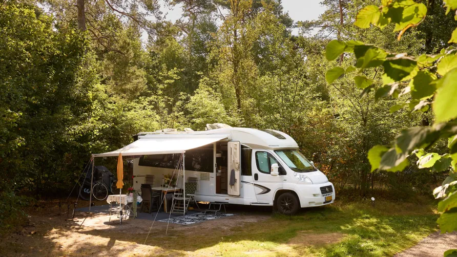 RCN Vakantiepark de Noordster