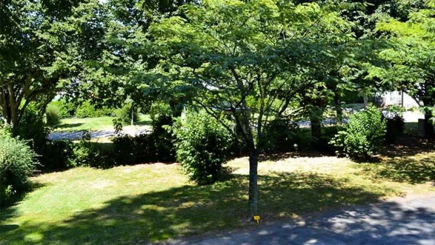 Camping DE LA LAUZE