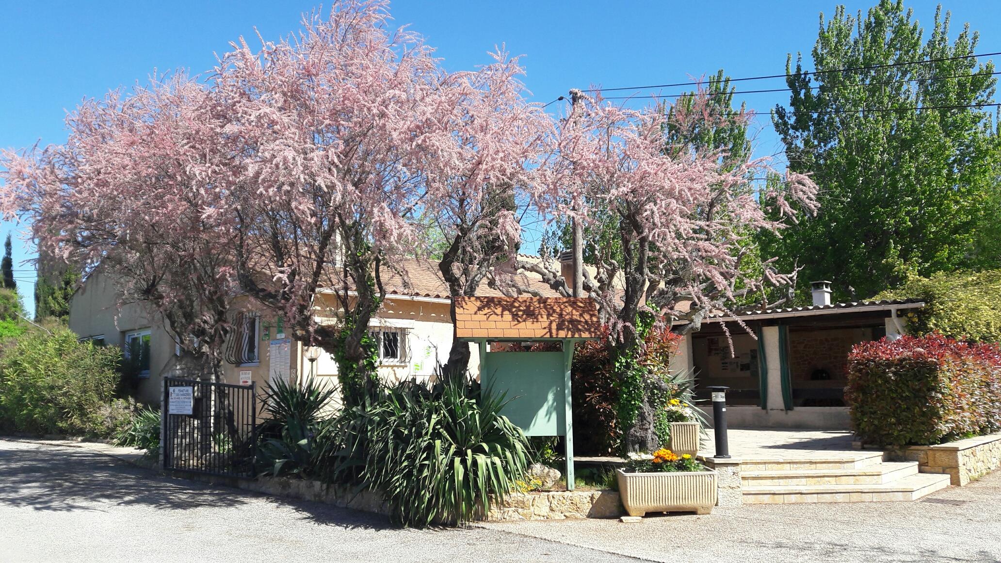 Camping L'Oasis du Verdon