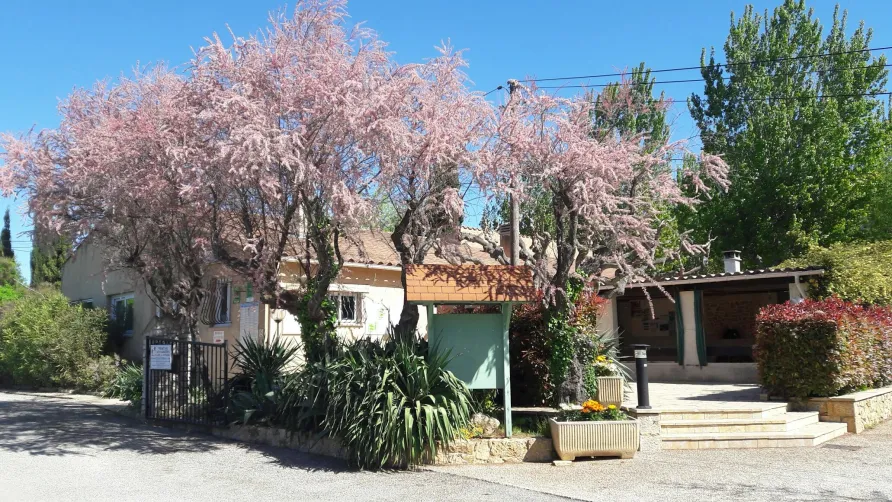 Camping L'Oasis du Verdon