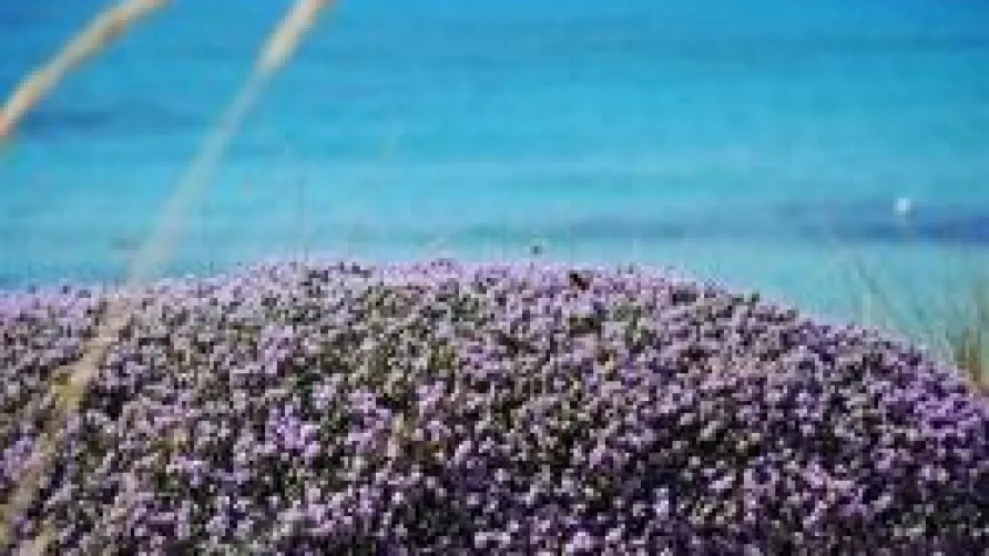 Baia di Gallipoli Camping Village