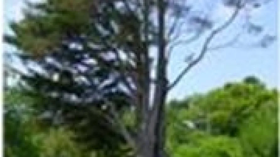 Camping Paradis Aloé