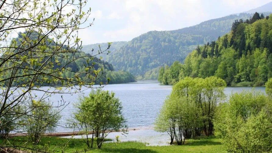 Camping Le Schlossberg