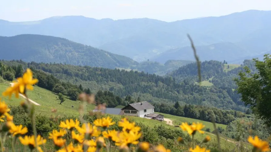 Camping Le Schlossberg