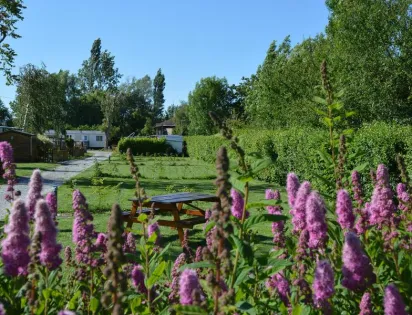 Camping LA PETITE FORET