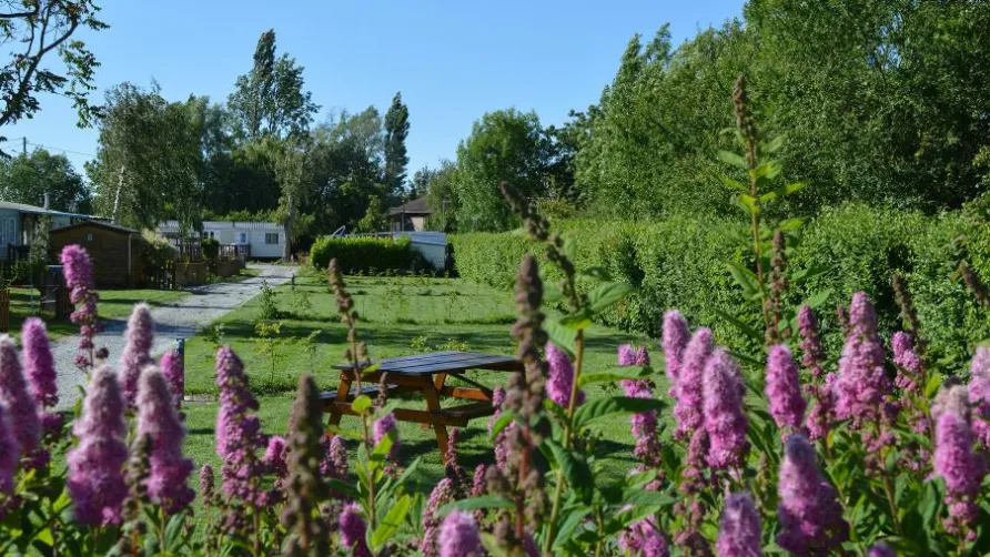 Camping LA PETITE FORET