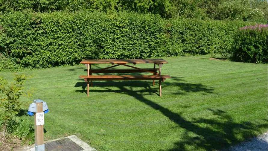 Camping LA PETITE FORET
