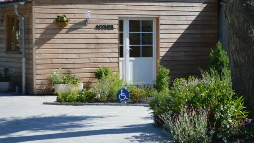 Camping LA PETITE FORET