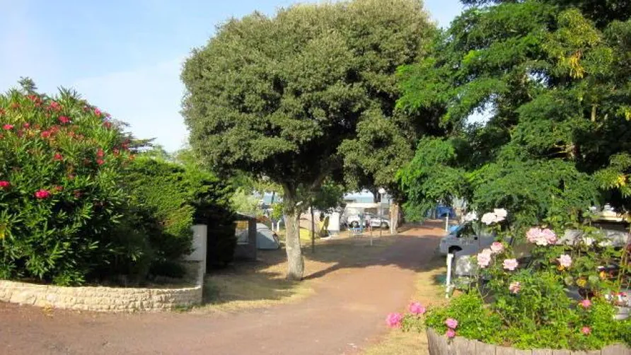 Camping OSTREA