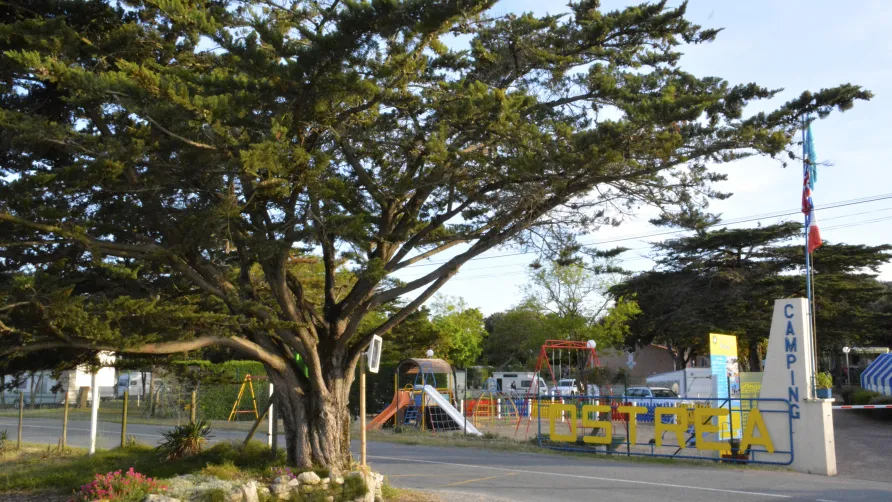 Camping OSTREA