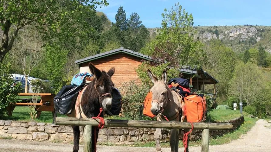 Camping La Cascade