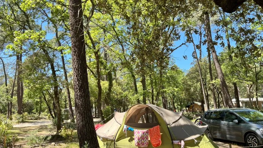 Camping La Simioune Vaucluse et Drome Provencale