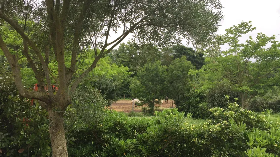 Camping A l'Ombre des Oliviers
