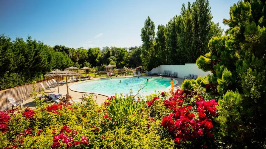 Camping A l'Ombre des Oliviers