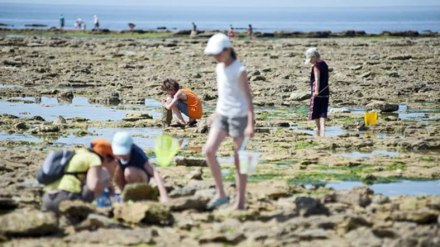 Huttopia Oléron Les Chênes Verts