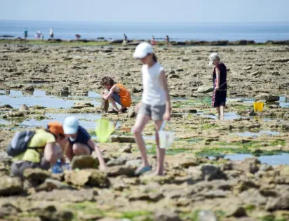 Huttopia Oléron Les Chênes Verts
