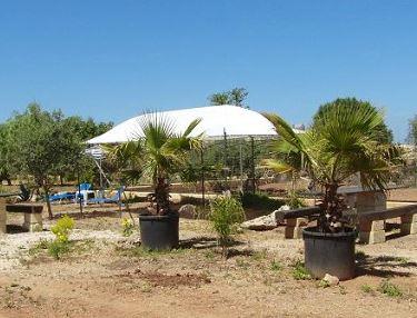 Lilybeo Village Camping & Residence