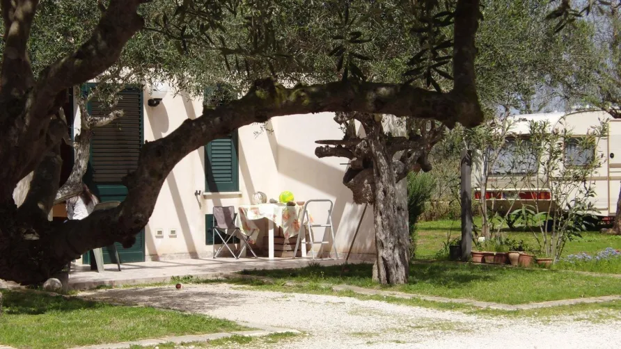 Lilybeo Village Camping & Residence
