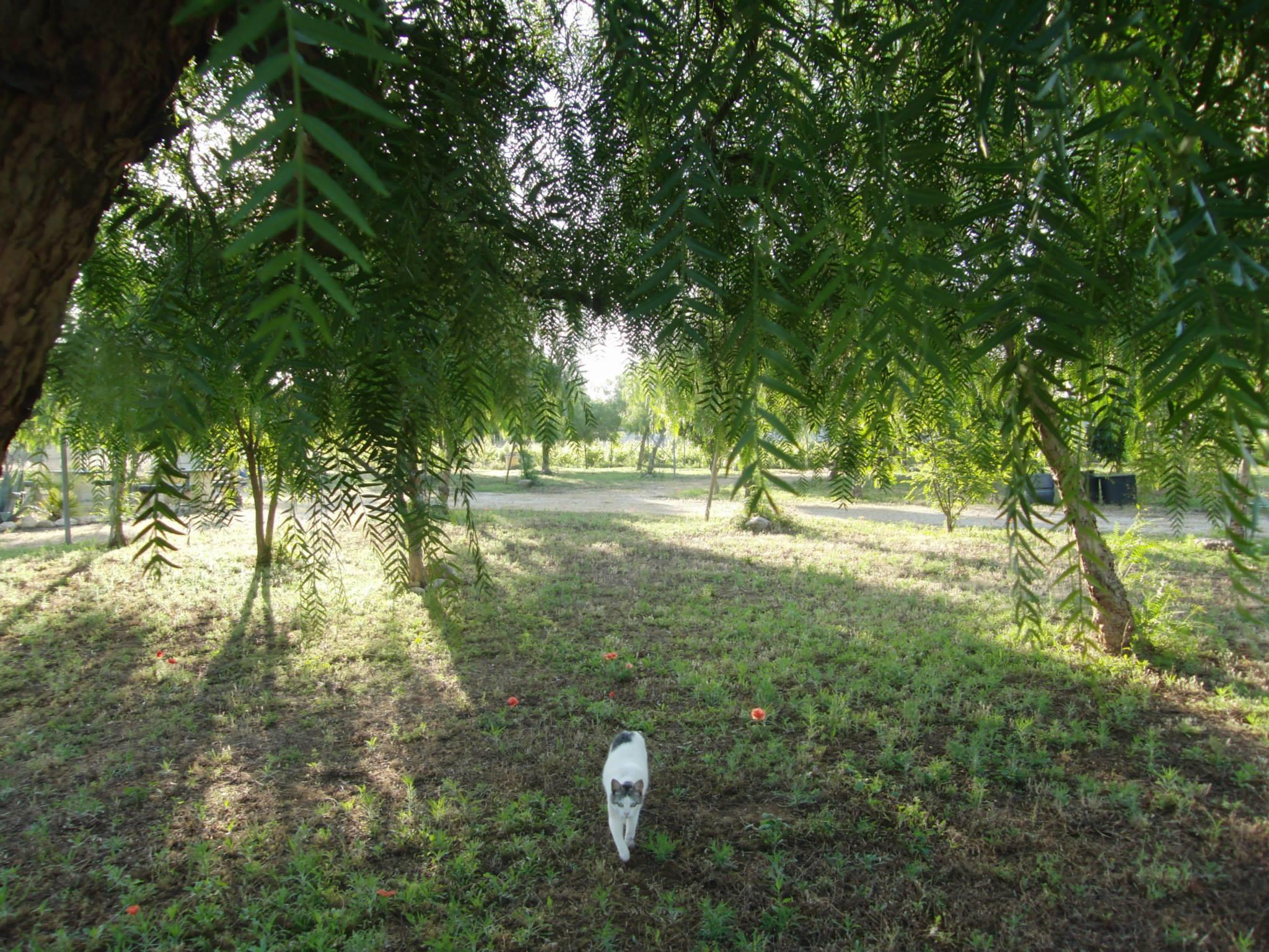 Lilybeo Village Camping & Residence