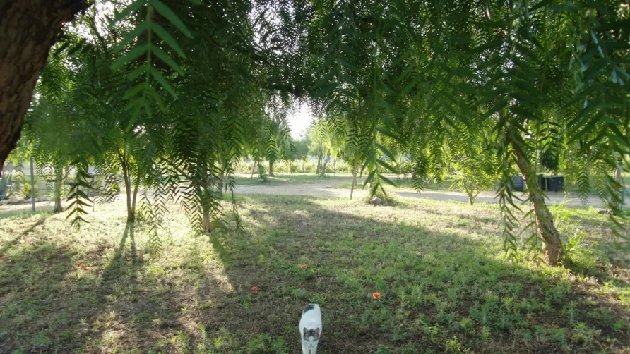 Lilybeo Village Camping & Residence