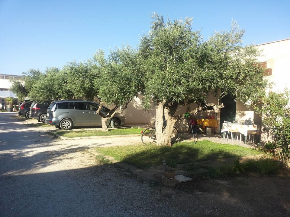 Lilybeo Village Camping & Residence